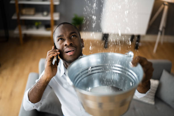 Best Water damage contractors near me  in Clifton Forge, VA