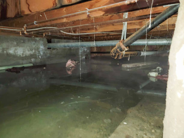 Best Water damage restoration near me  in Clifton Forge, VA
