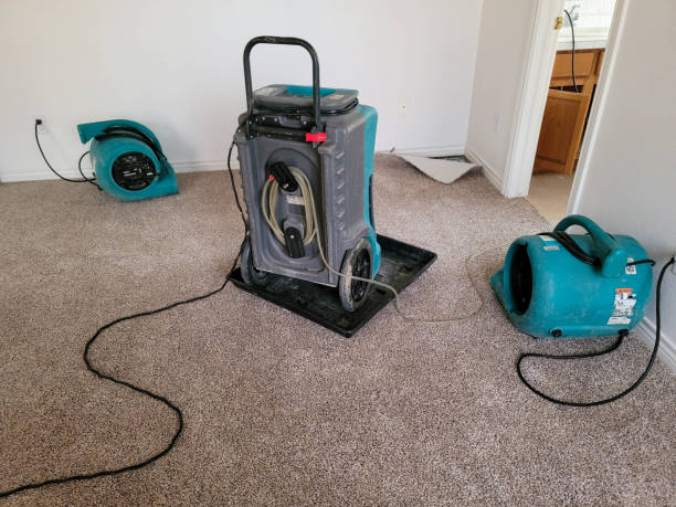 Best Residential water damage restoration  in Clifton Forge, VA