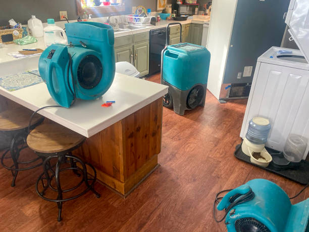 Best Fire Damage Restoration  in Clifton Forge, VA
