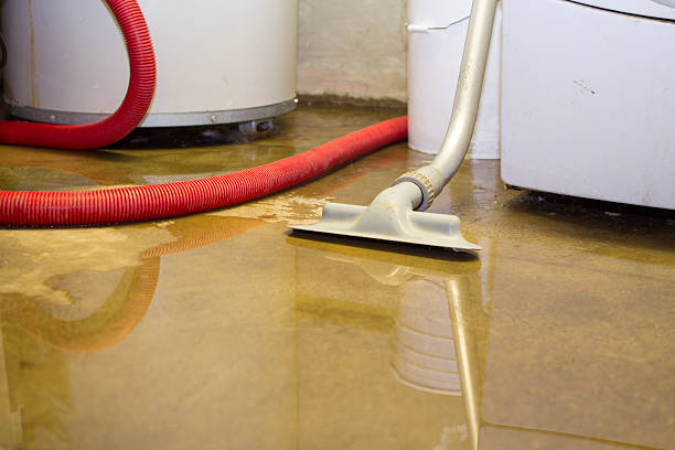 Best Basement water damage restoration  in Clifton Forge, VA