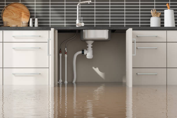  Clifton Forge, VA Water damage restoration Pros