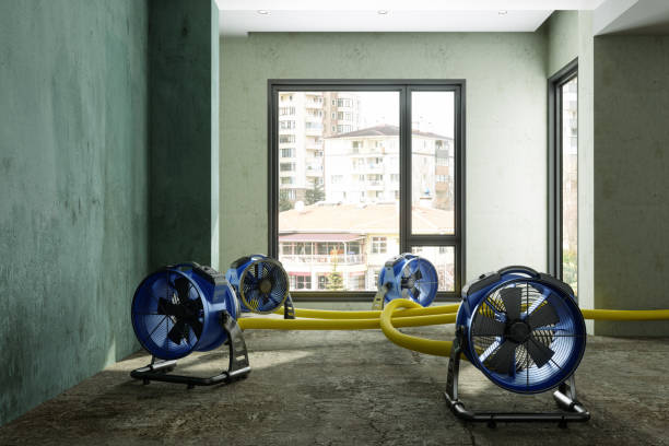 Sewage cleanup and water damage restoration in VA
