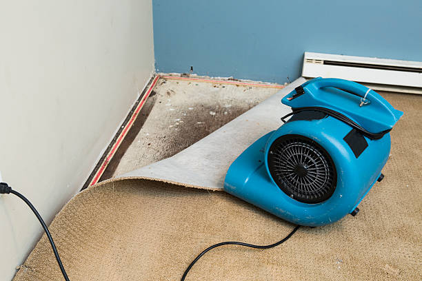 Best 24/7 water damage repair  in Clifton Forge, VA